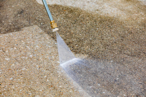 Best Sidewalk and Walkway Cleaning  in Wright, FL